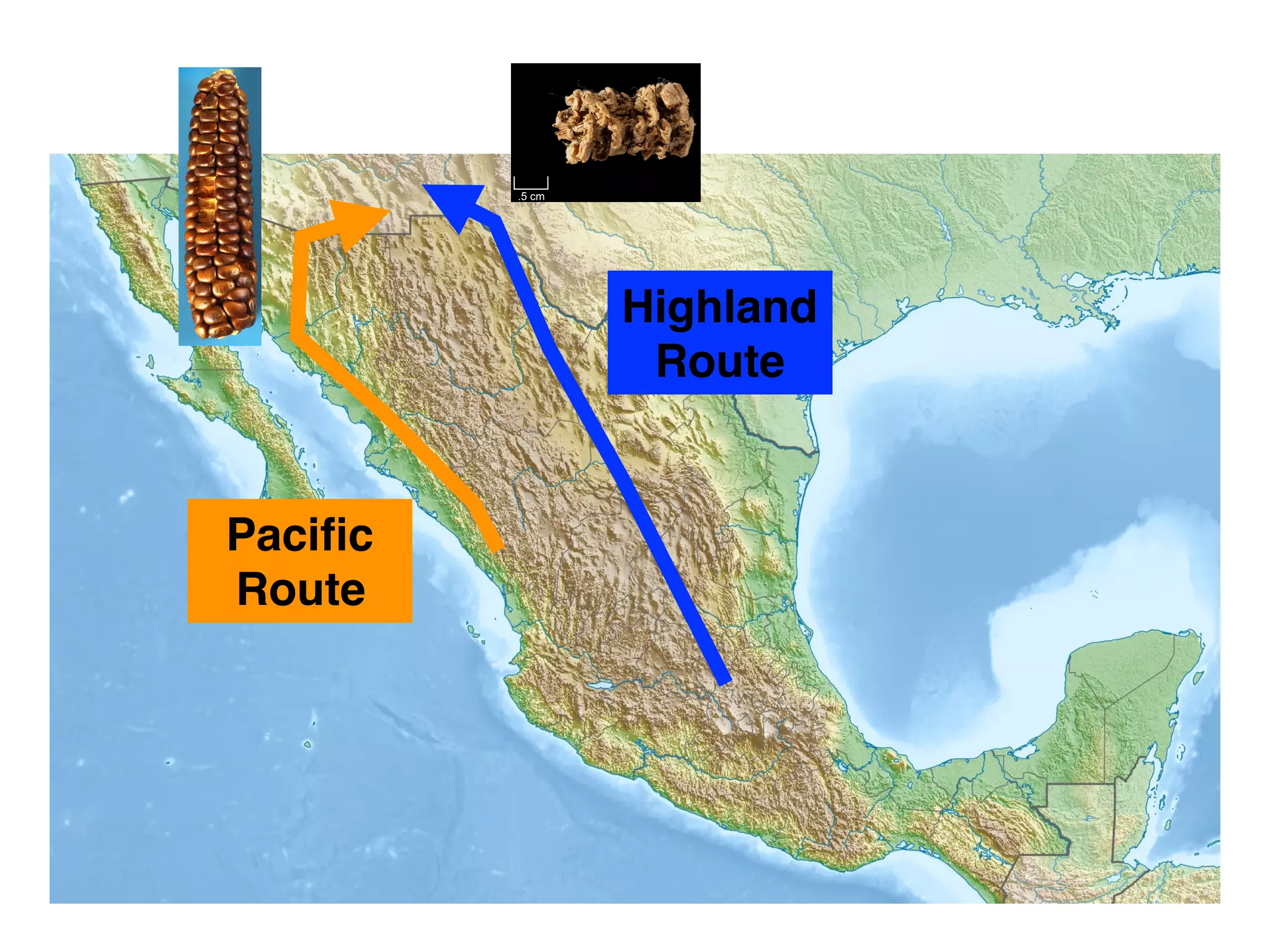 Highland
Route
Paciﬁc
Route
 