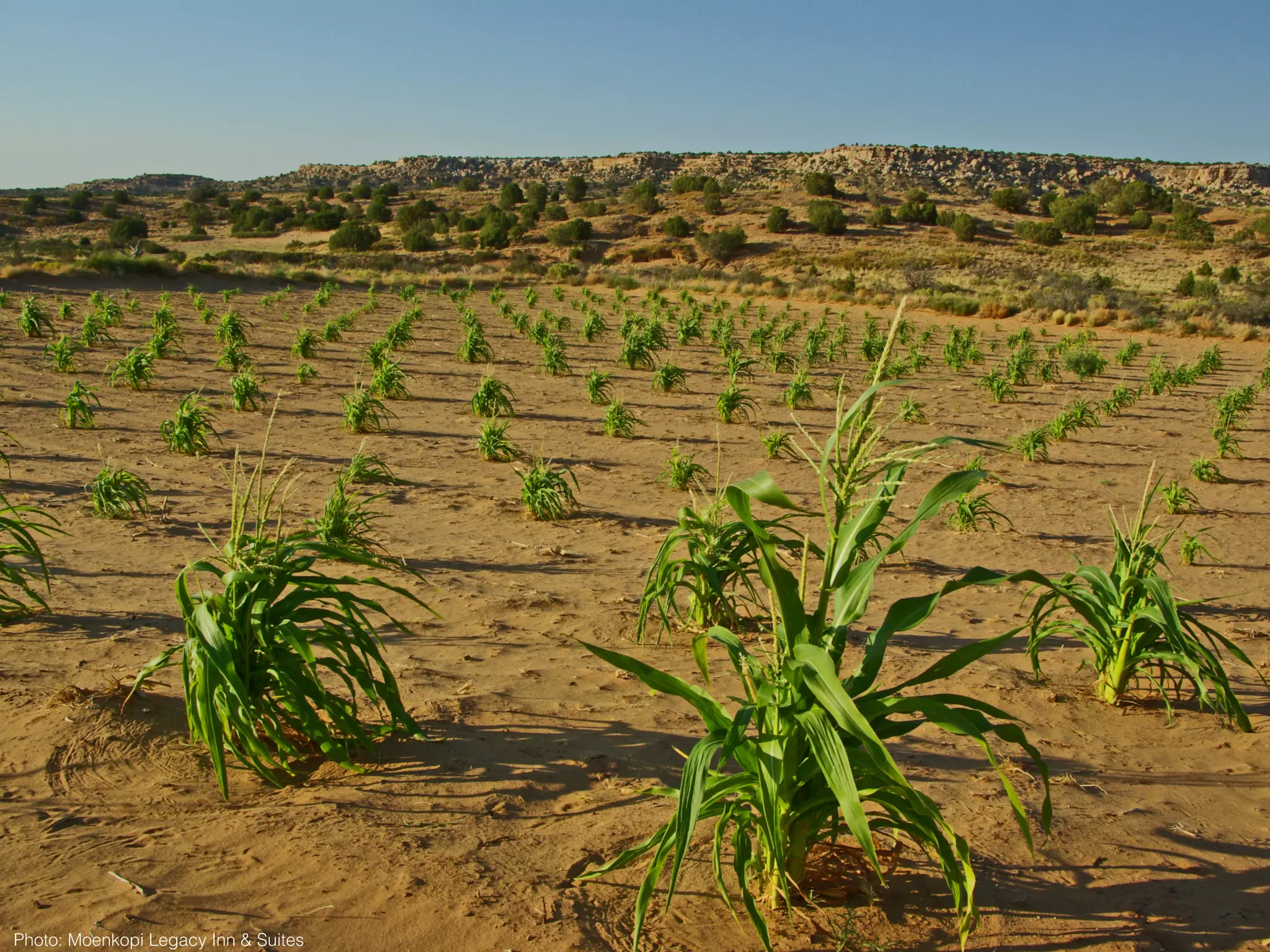 Photo: Moenkopi Legacy Inn & Suites
 