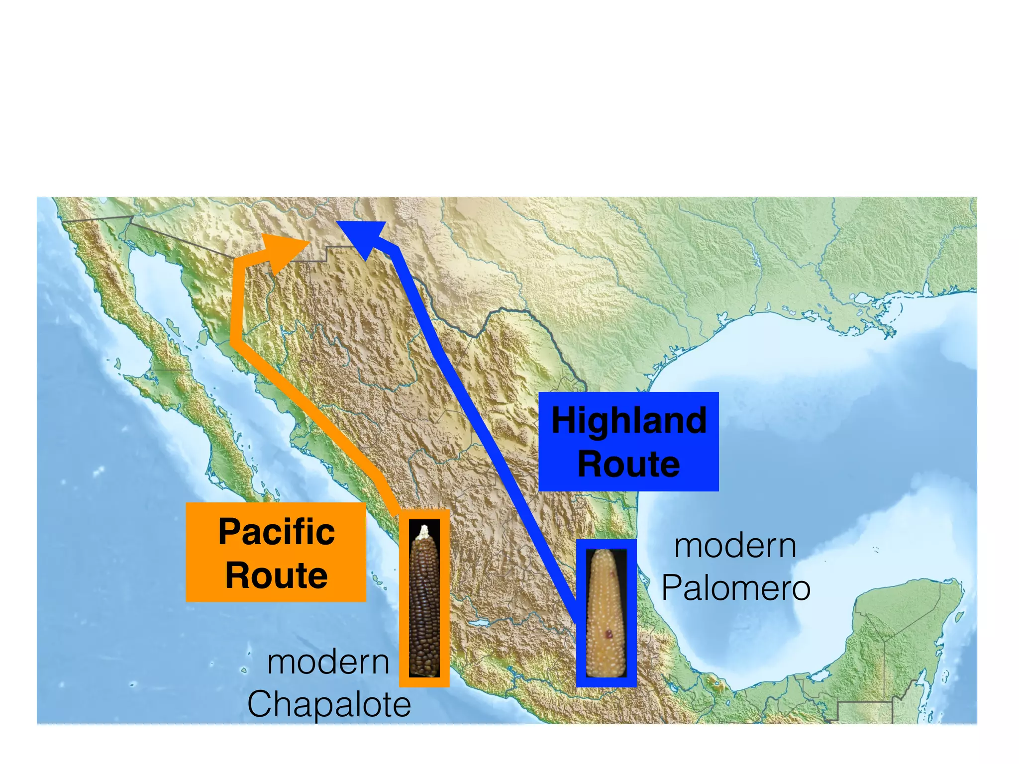 Highland
Route
Paciﬁc
Route
modern
Chapalote
modern
Palomero
 
