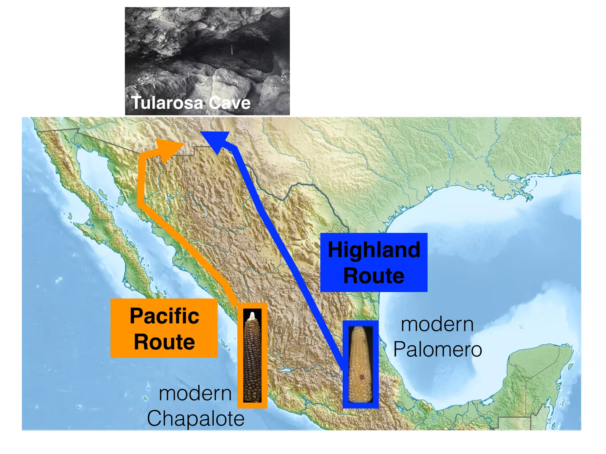 Highland
Route
Paciﬁc
Route
modern
Chapalote
modern
Palomero
Tularosa Cave
 