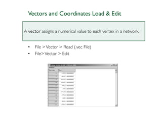 Vectors and Coordinates Load & Edit

A vector assigns a numerical value to each vertex in a network.


  •   File > Vector > Read (.vec File)
  •   File> Vector > Edit
 