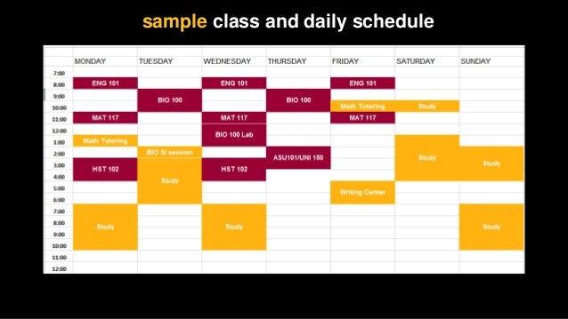 example college schedule