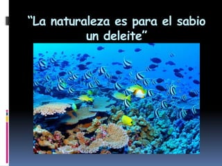 “La naturaleza es para el sabio
          un deleite”
 