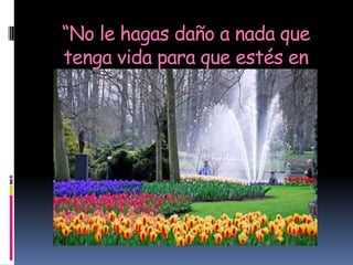 “No le hagas daño a nada que
tenga vida para que estés en
          plenitud”
 