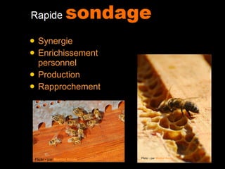 Synergie Enrichissement personnel Production Rapprochement  Flickr - par  Martial Soula Ajoutée par  Martial Soula Flickr - par  Martial Soula 