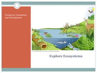 Producers, Consumers,
and Decomposers




                        Explore Ecosystems
 
