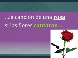 …la canción de una rosa
si las flores cantaran…
 