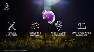 Fare clic per modificare lo stile del titolo
RAZIE
www.gellify.com
info@gellify.com
Copyright © 2017 GELLIFY S.p.A. All rights reserved.Copyright © 2017 GELLIFY S.p.A. All rights reserved.
TOOLS &
PROCESSES
NETWORK &
CHANNELS
AGILE + MARKET
POSITIONING
START-UPS JOINT GO
TO MARKET
 