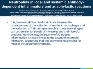 Neutrophils in local and systemic antibody-
dependent inflammatory and anaphylactic reactions
Friederike Jönsson,*,1,2 David A. Mancardi,*,1,2 Marcello Albanesi,*,† and Pierre Bruhns*
* Institut Pasteur, Département d’Immunologie, Laboratoire Anticorps en Thérapie et Pathologie, and INSERM, U760, Paris,
France and;† Université Pierre et Marie Curie, Paris, France
RECEIVED SEPTEMBER 28, 2012; REVISED MARCH 7, 2013; ACCEPTED MARCH 11, 2013. DOI: 10.1189/jlb.1212623
• It is, however, difficult to discriminate between the
consequences of the activation of resident macrophages and
the activation of infiltrating neutrophils: these two cell types
can secrete similar panels of molecules and antimicrobial
products. Nonetheless, the severity of IC induced
inflammation is closely linked to the extent of neutrophil
infiltration, suggesting that this cell type is responsible for
most of the observed symptoms.
 