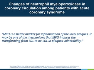 Changes of neutrophil myeloperoxidase in
coronary circulation among patients with acute
coronary syndrome
“MPO is a better marker for inflammation of the local plaques. It
may be one of the mechanisms that MPO induces the
transforming from LDL to ox-LDL in plaques vulnerability.”
Li L, Zhang Y, Chen YG, Li GS, Wang Y, Ma X, Li JF, Zhong M, Zhang W. Key Laboratory of Cardiovascular Remodeling and Function Research,
Chinese Ministry of Education and Public Health, Department of Cardiology, Qilu Hospital of Shandong University, Jinan 250012, China.
 