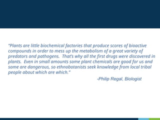 -Philip Regal, Biologist
“Plants are little biochemical factories that produce scores of bioactive
compounds in order to mess up the metabolism of a great variety of
predators and pathogens. That’s why all the first drugs were discovered in
plants. Even in small amounts some plant chemicals are good for us and
some are dangerous, so ethnobotanists seek knowledge from local tribal
people about which are which.”
 