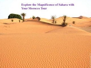 Explore the Magnificence of Sahara with 
Your Morocco Tour 
 