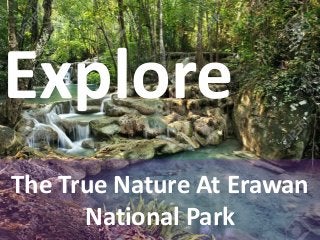 The True Nature At Erawan
National Park
Explore
 