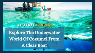 Explore The Underwater
World Of Cozumel From
A Clear Boat
 