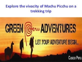 Explore the vivacity of Machu Picchu on a
trekking trip
 