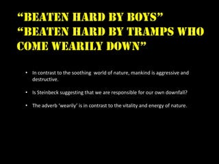 “beaten hard by boys”
“beaten hard by tramps who
come wearily down”

 • In contrast to the soothing world of nature, mankind is aggressive and
   destructive.

 • Is Steinbeck suggesting that we are responsible for our own downfall?

 • The adverb ‘wearily’ is in contrast to the vitality and energy of nature.
 