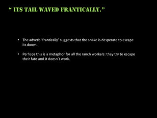 “ its tail waved frantically.”



  • The adverb ‘frantically’ suggests that the snake is desperate to escape
    its doom.

  • Perhaps this is a metaphor for all the ranch workers: they try to escape
    their fate and it doesn’t work.
 