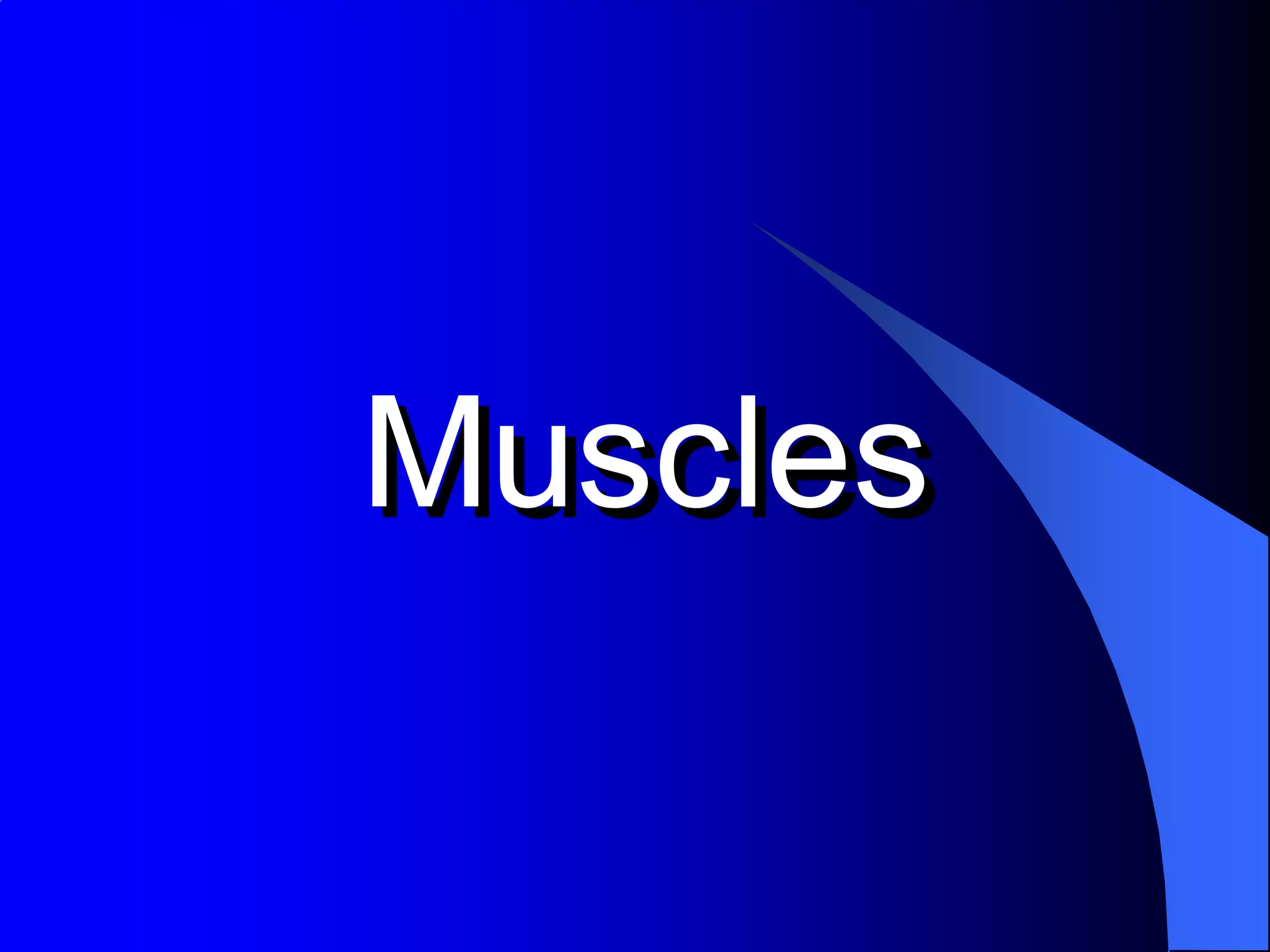 Muscles
