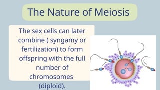 Exploring-Cells-in-Detail-Education-Presentation-in-0-Hand-Drawn ...