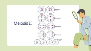 Exploring-Cells-in-Detail-Education-Presentation-in-0-Hand-Drawn ...