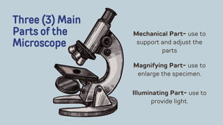 Three (3) Main
Parts of the
Microscope
Mechanical Part- use to
support and adjust the
parts
Magnifying Part- use to
enlarge the specimen.
Illuminating Part- use to
provide light.
 