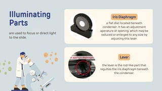 Illuminating
Parts
are used to focus or direct light
to the slide.
a flat disc located beneath
condenser. It has an adjustment
aperature or opening, which may be
reduced or enlarged to any size by
adjusting this lever.
Iris Diaphragm
the lever is the rod-like part that
regultes the iris diaphragm beneath
the condenser.
Lever
 
