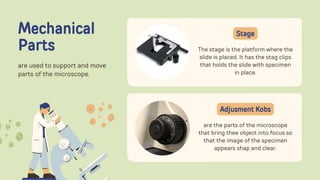 Mechanical
Parts
are used to support and move
parts of the microscope.
The stage is the platform where the
slide is placed. It has the stag clips
that holds the slide with specimen
in place.
Stage
are the parts of the microscope
that bring thee object into focus so
that the image of the specimen
appears shap and clear.
Adjusment Kobs
 