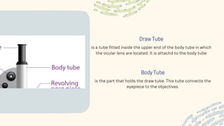 Draw Tube
is a tube fitted inside the upper end of the body tube in which
the ocular lens are located. It is attachd to the body tube
Body Tube
is the part that holds the draw tube. This tube connects the
eyepiece to the objectives.
 