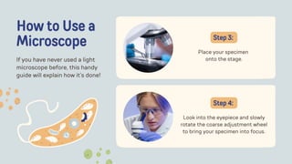 How to Use a
Microscope
If you have never used a light
microscope before, this handy
guide will explain how it’s done!
Place your specimen
onto the stage.
Step 3:
Look into the eyepiece and slowly
rotate the coarse adjustment wheel
to bring your specimen into focus.
Step 4:
 