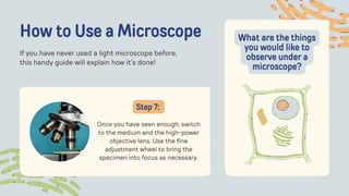 How to Use a Microscope
If you have never used a light microscope before,
this handy guide will explain how it’s done!
Once you have seen enough, switch
to the medium and the high-power
objective lens. Use the fine
adjustment wheel to bring the
specimen into focus as necessary.
Step 7:
What are the things
you would like to
observe under a
microscope?
 