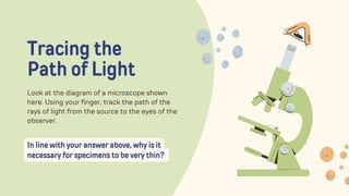 Tracing the
Path of Light
Look at the diagram of a microscope shown
here. Using your finger, track the path of the
rays of light from the source to the eyes of the
observer.
In line with your answer above, why is it
necessary for specimens to be very thin?
 