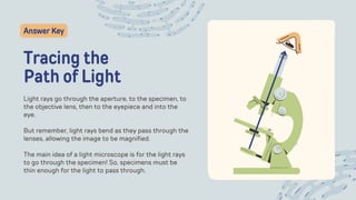 Tracing the
Path of Light
Light rays go through the aperture, to the specimen, to
the objective lens, then to the eyepiece and into the
eye.
But remember, light rays bend as they pass through the
lenses, allowing the image to be magnified.
The main idea of a light microscope is for the light rays
to go through the specimen! So, specimens must be
thin enough for the light to pass through.
Answer Key
 