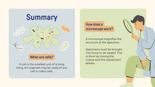 Summary
A cell is the smallest unit of a living
thing. An organism may be made of one
cell or many cells.
What are cells?
A microscope magnifies the
structure of the specimen.
Specimens must be brought
into focus to be viewed. This
is done by moving the
coarse and fine adjustment
wheels.
How does a
microscope work?
 