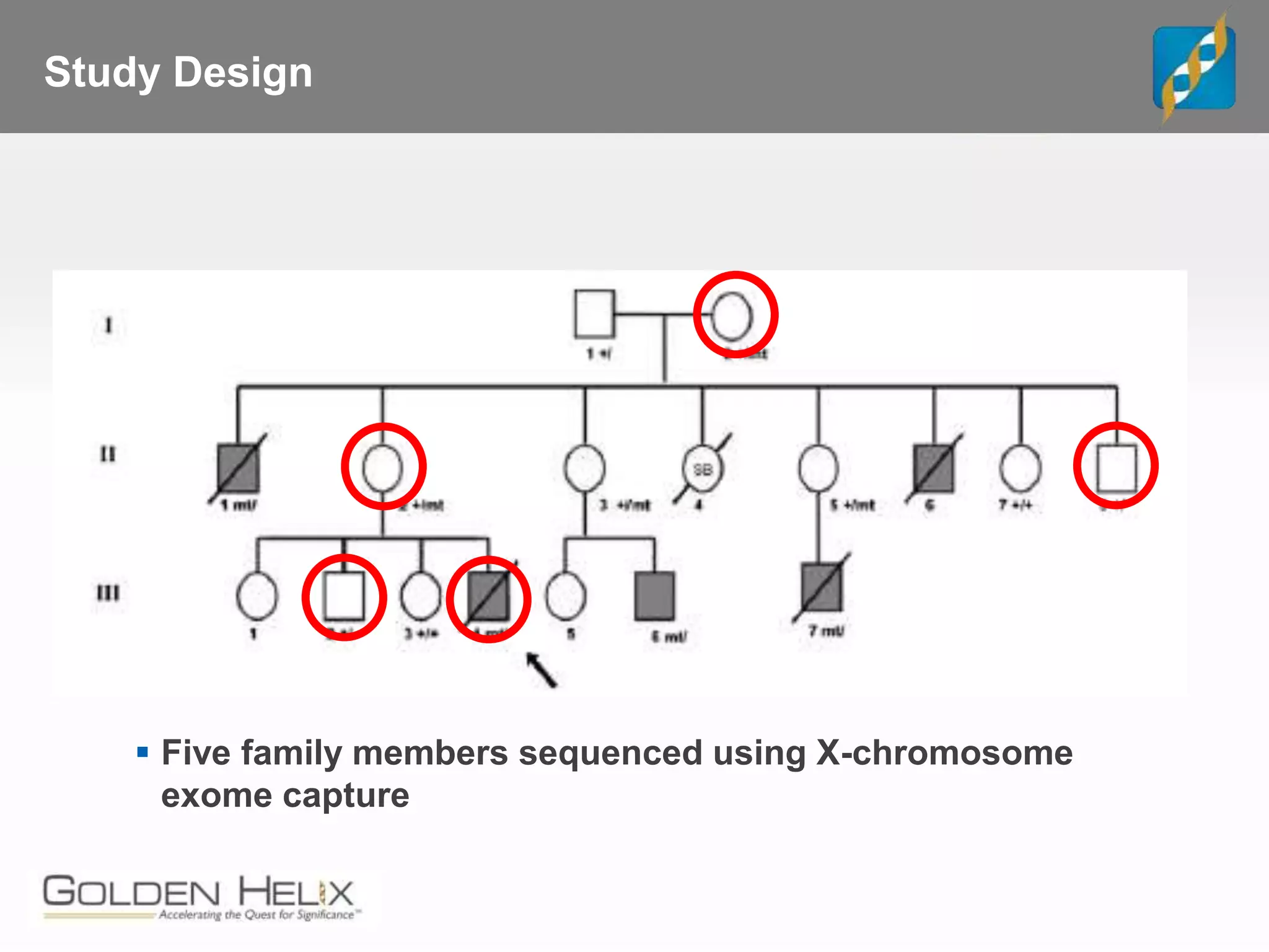 Study Design
 Five family members sequenced using X-chromosome
exome capture
 
