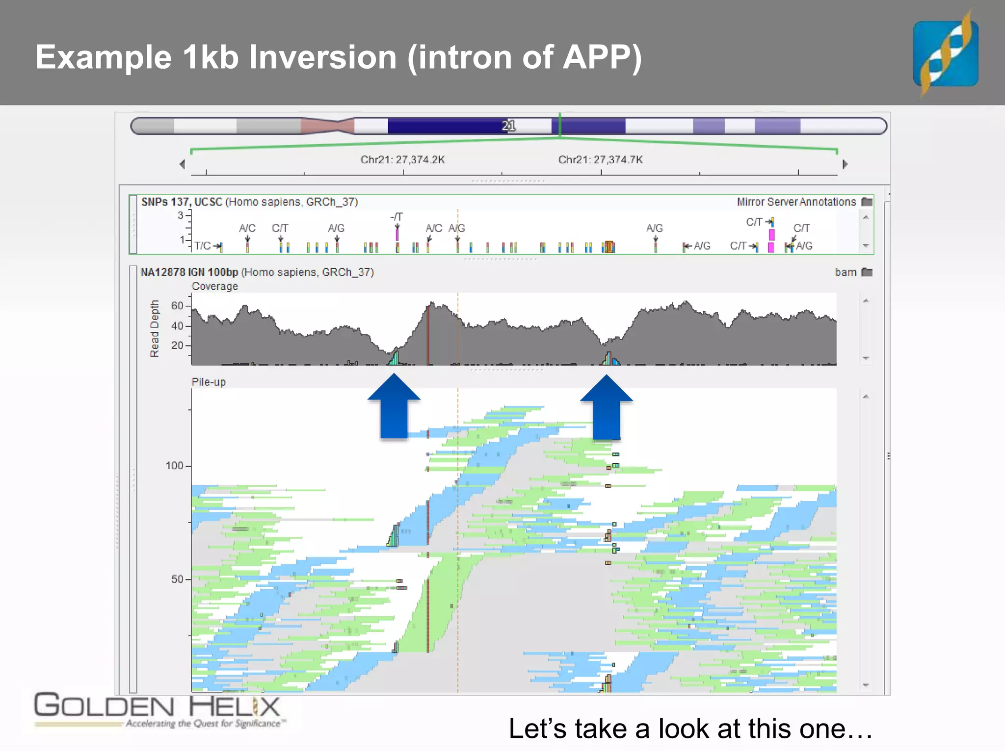 Example 1kb Inversion (intron of APP)
Let’s take a look at this one…
 