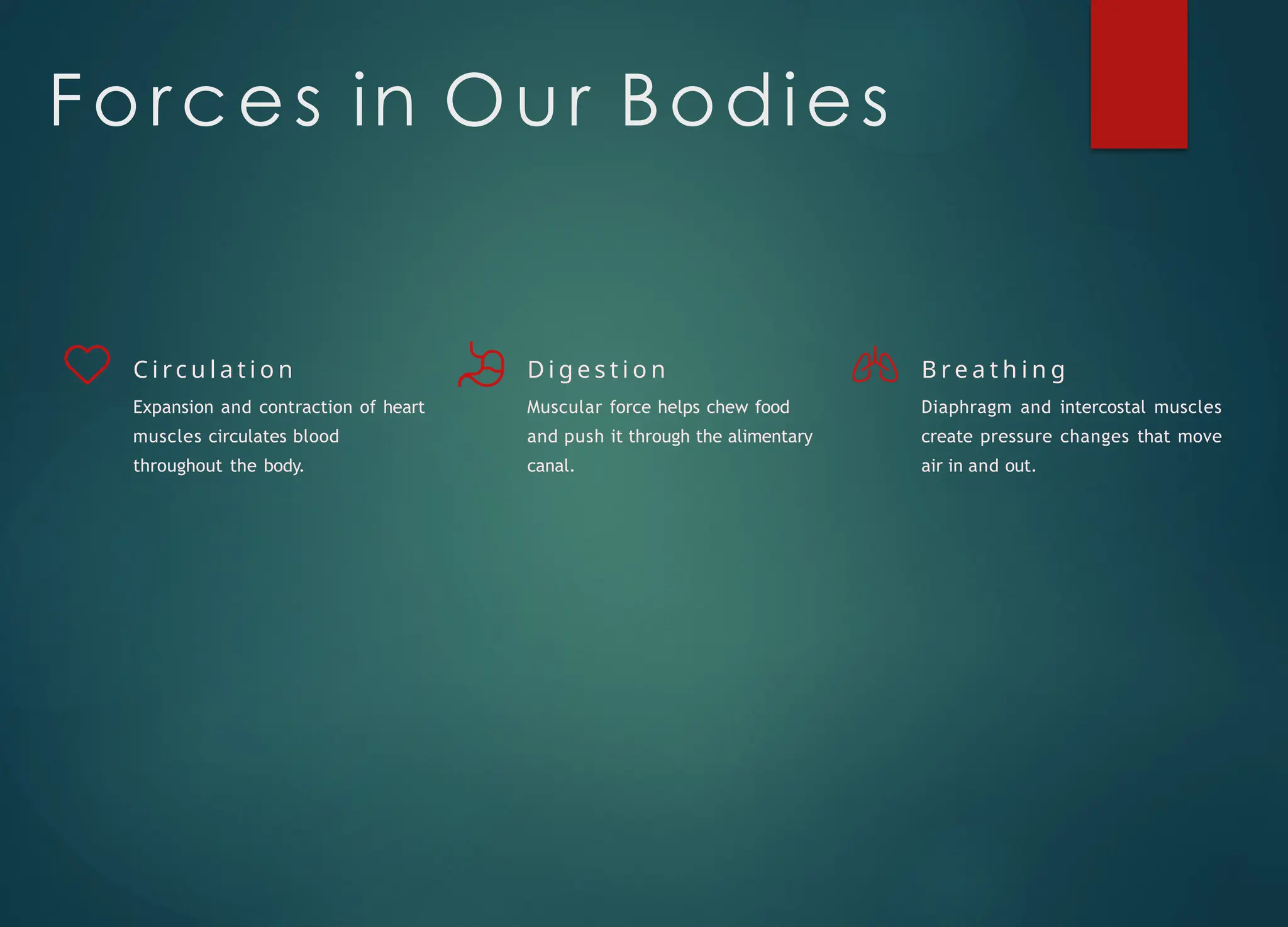 class of 2003 jordan 12