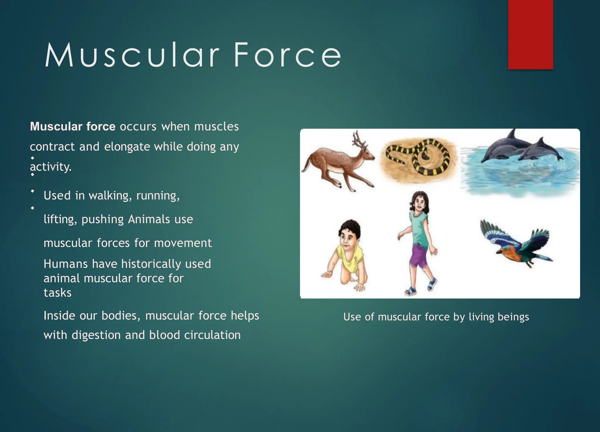 class of 2003 jordans