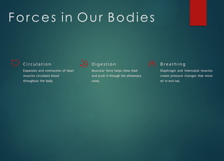 Forces in Our Bodies
C i rc u l a t i o n
Expansion and contraction of heart
muscles circulates blood
throughout the body.
D i g e s t i o n
Muscular force helps chew food
and push it through the alimentary
canal.
B r e a t h i n g
Diaphragm and intercostal muscles
create pressure changes that move
air in and out.
 