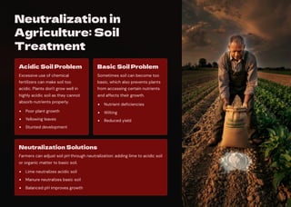 Neutralization in
Agriculture: Soil
Treatment
Acidic Soil Problem
Excessive use of chemical
fertilizers can make soil too
acidic. Plants don't grow well in
highly acidic soil as they cannot
absorb nutrients properly.
Poor plant growth
Yellowing leaves
Stunted development
Basic Soil Problem
Sometimes soil can become too
basic, which also prevents plants
from accessing certain nutrients
and affects their growth.
Nutrient deficiencies
Wilting
Reduced yield
Neutralization Solutions
Farmers can adjust soil pH through neutralization: adding lime to acidic soil
or organic matter to basic soil.
Lime neutralizes acidic soil
Manure neutralizes basic soil
Balanced pH improves growth
 