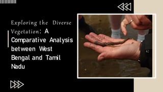 Exploring the Diverse
Vegetation: A
Comparative Analysis
between West
Bengal and Tamil
Nadu
 