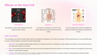 Effects on the Host Cell
Viral Infection
Viral replication can lead to severe damage to the host cell,
causing cell death or disease.
Symptoms
The symptoms of viral infection can vary from mild to
severe, depending on the type of virus and the host cell
involved.
Immune Response
The immune system plays a vital role in combating viral
infections by identifying and eliminating viral particles from
the body.
Details of viral replication:
The viral replication cycle refers to the series of steps involved in the replication and multiplication of a virus within a host organism. While the specific details can vary among different types
of viruses, the general replication cycle typically involves the following stages:
1. Attachment: The virus attaches to specific receptor molecules on the surface of the host cell. This attachment is usually mediated by viral proteins on the outer surface of the virus
and complementary receptors on the host cell.
2. Entry: The virus enters the host cell, either through direct fusion of the viral envelope with the host cell membrane or by endocytosis, where the virus is engulfed by the host cell and
enclosed in a vesicle called an endosome.
3. Uncoating: Once inside the host cell, the virus undergoes uncoating, which involves the removal of the viral capsid or envelope. This step exposes the viral genetic material,
 