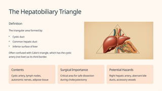 Exploring-the-Gallbladder-and-Extrahepatic-Biliary-Tract-Anatomy-and ...
