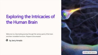 Exploring the Intricacies of
the Human Brain
Welcome to a fascinating journey through the various parts of the brain
and their incredible functions. Prepare to be amazed!
by Jerry Arnado
 