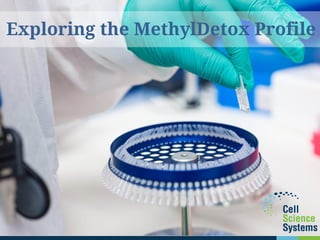 .Exploring the MethylDetox Profile
 