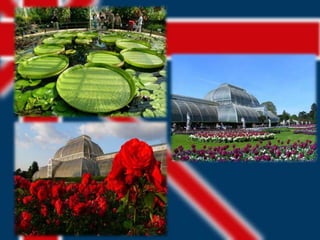 Exploring british countryside