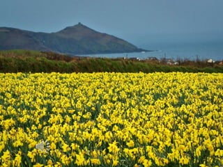 Exploring british countryside
