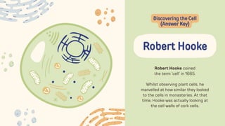 Exploring Cells in Detail Education Presentation in Hand Drawn Lightly ...
