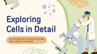Exploring Cells in Detail Education Presentation in Hand Drawn Lightly ...