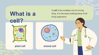 Exploring Cells in Detail Powerpoint Presentation | PDF