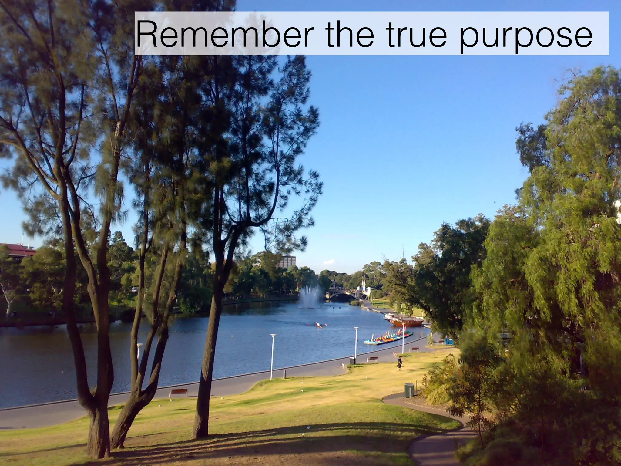 Remember the true purpose 
 